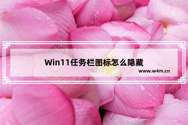 Win11任务栏图标怎么隐藏