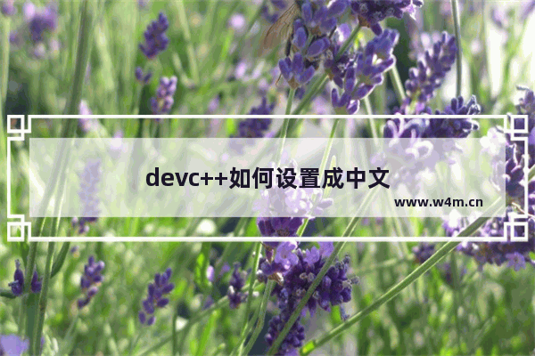 devc++如何设置成中文