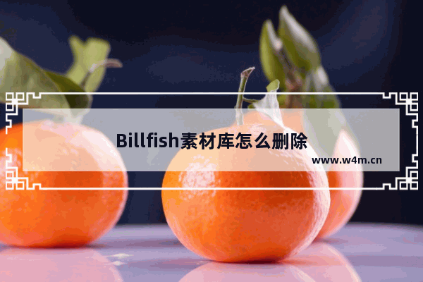 Billfish素材库怎么删除