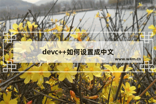 devc++如何设置成中文