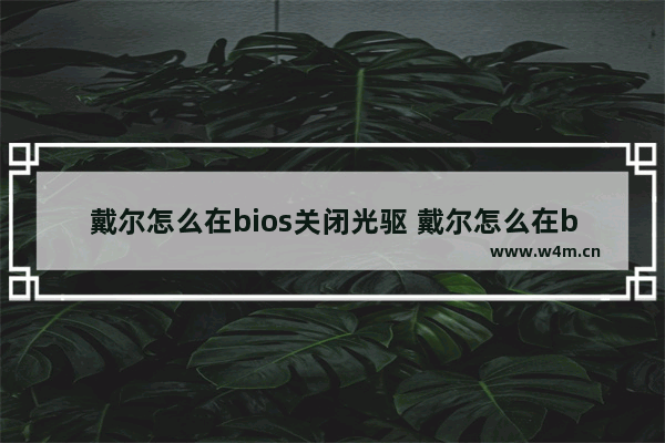 戴尔怎么在bios关闭光驱 戴尔怎么在bios关闭光驱模式