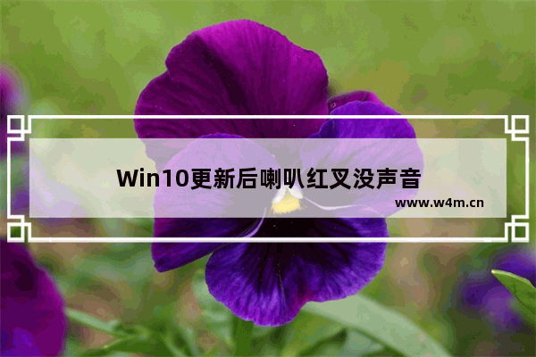 Win10更新后喇叭红叉没声音