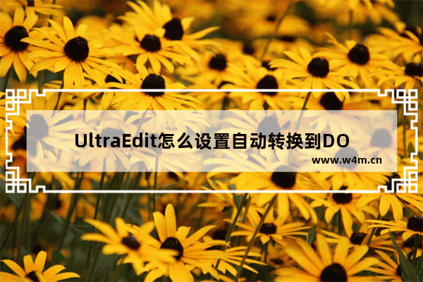 UltraEdit怎么设置自动转换到DOS格式