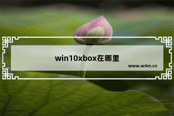 win10xbox在哪里