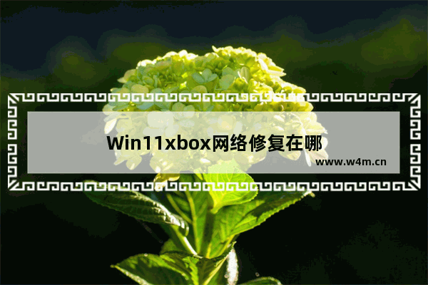 Win11xbox网络修复在哪