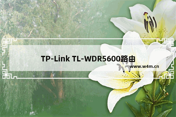 TP-Link TL-WDR5600路由器无线WiFi怎么设置