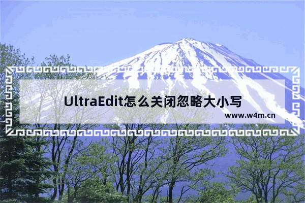 UltraEdit怎么关闭忽略大小写