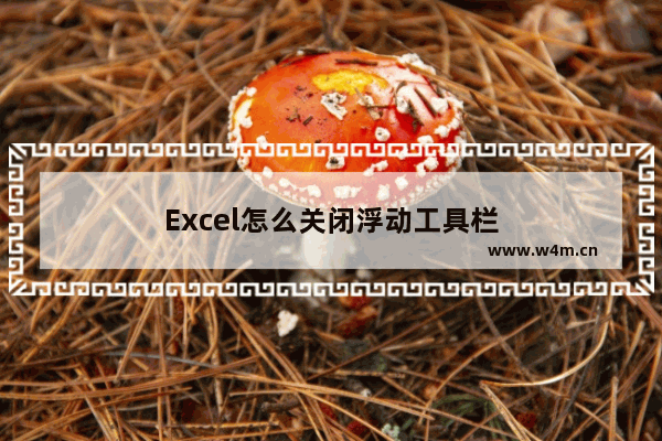 Excel怎么关闭浮动工具栏