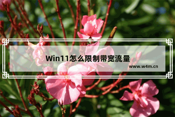 Win11怎么限制带宽流量