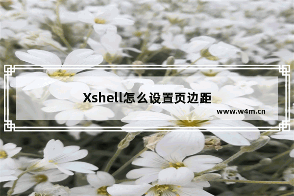 Xshell怎么设置页边距