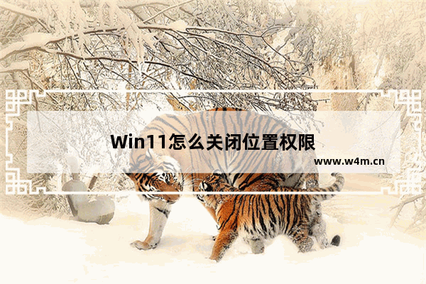 Win11怎么关闭位置权限