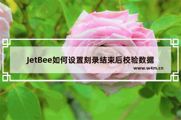 JetBee如何设置刻录结束后校验数据