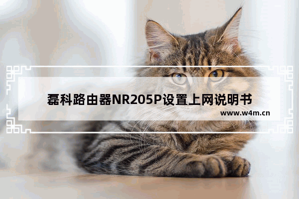 磊科路由器NR205P设置上网说明书