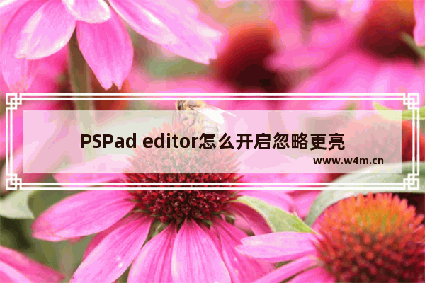 PSPad editor怎么开启忽略更亮的颜色