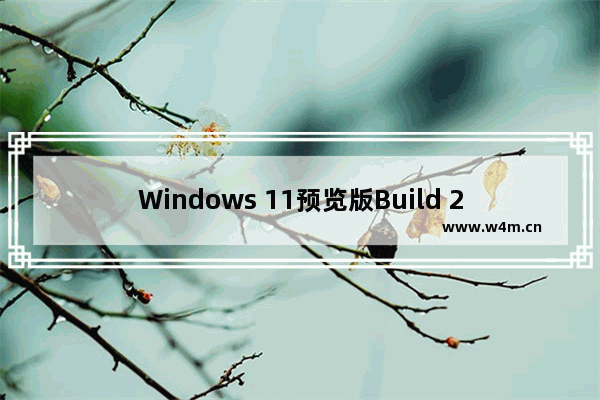 Windows 11预览版Build 25336更新内容介绍