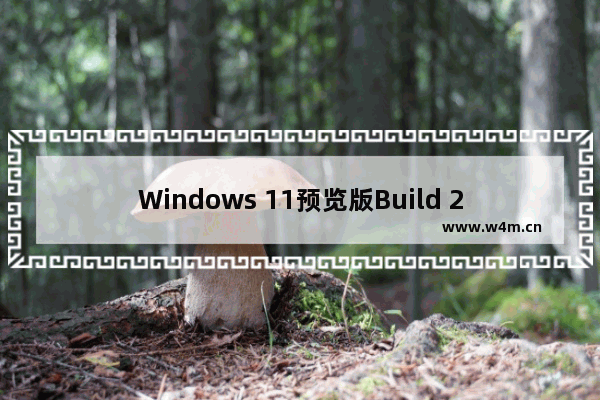 Windows 11预览版Build 25300更新内容介绍