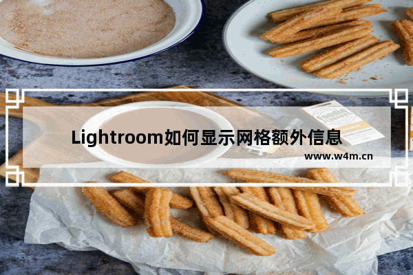 Lightroom如何显示网格额外信息