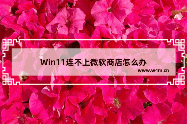 Win11连不上微软商店怎么办