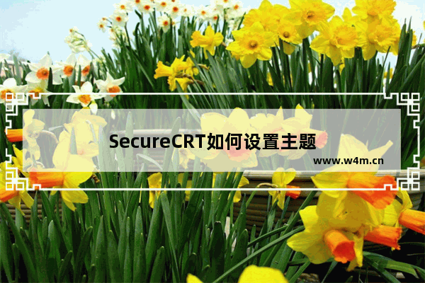 SecureCRT如何设置主题