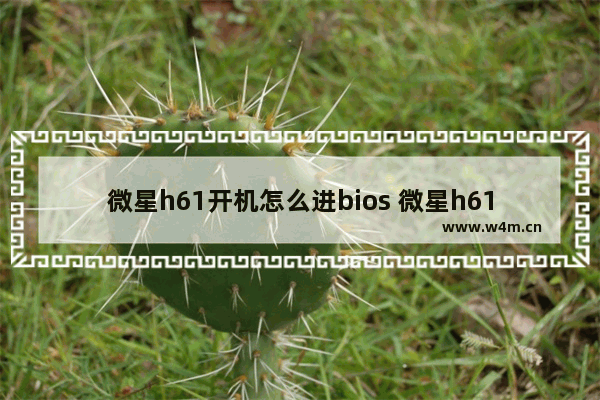 微星h61开机怎么进bios 微星h61主板怎么设置u盘启动