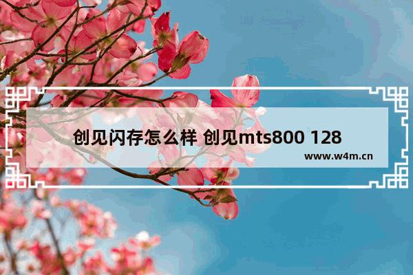 创见闪存怎么样 创见mts800 128g