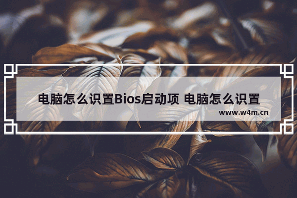 电脑怎么识置Bios启动项 电脑怎么识置bios启动项和关机