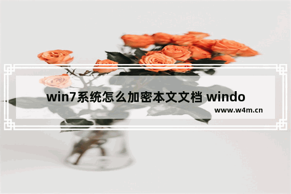 win7系统怎么加密本文文档 windows7文件怎么加密