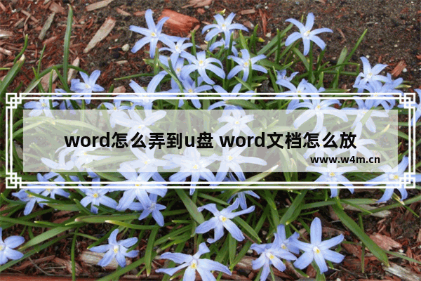 word怎么弄到u盘 word文档怎么放进u盘