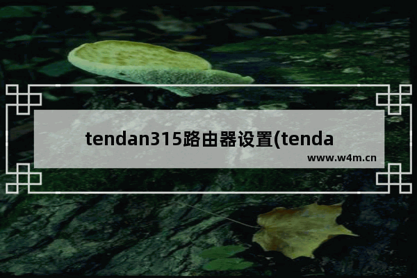 tendan315路由器设置(tenda11n路由器怎么设置)