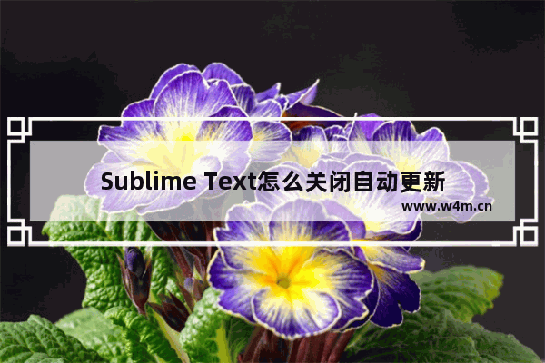 Sublime Text怎么关闭自动更新