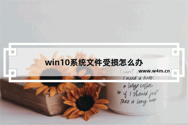 win10系统文件受损怎么办