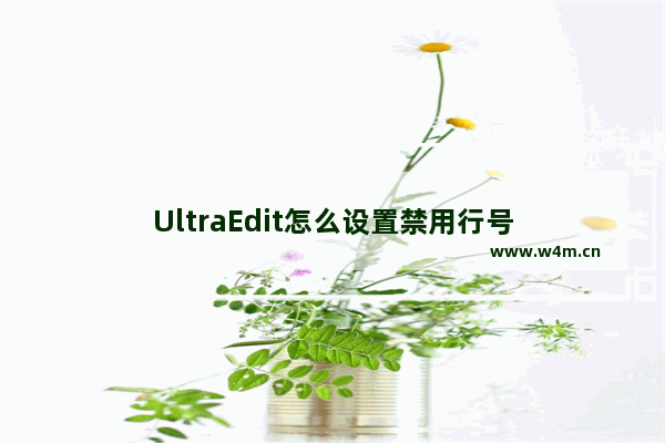 UltraEdit怎么设置禁用行号