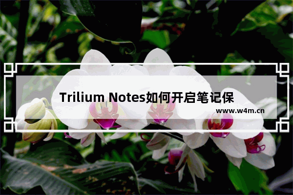 Trilium Notes如何开启笔记保护功能