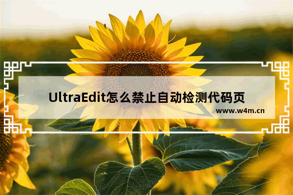 UltraEdit怎么禁止自动检测代码页