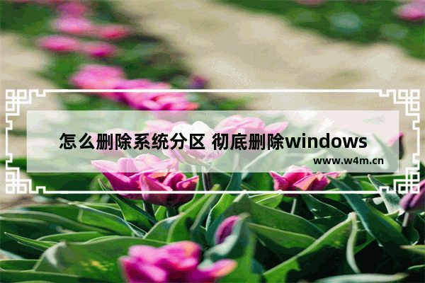 怎么删除系统分区 彻底删除windows分区