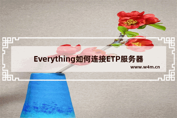 Everything如何连接ETP服务器