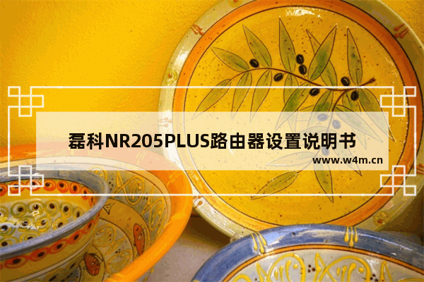 磊科NR205PLUS路由器设置说明书