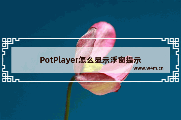 PotPlayer怎么显示浮窗提示