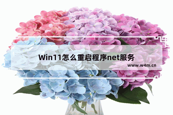 Win11怎么重启程序net服务