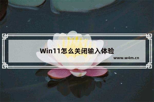 Win11怎么关闭输入体验