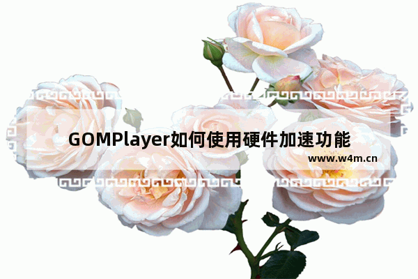 GOMPlayer如何使用硬件加速功能