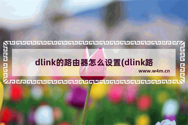 dlink的路由器怎么设置(dlink路由器配置网络)