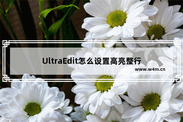 UltraEdit怎么设置高亮整行