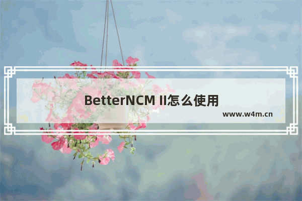 BetterNCM II怎么使用