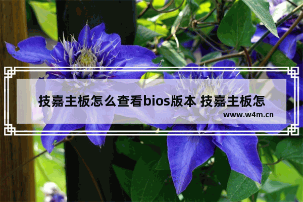 技嘉主板怎么查看bios版本 技嘉主板怎么查看bios版本型号