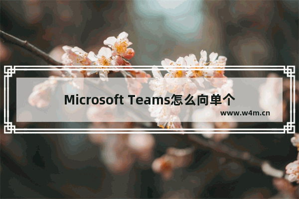 Microsoft Teams怎么向单个用户分配策略