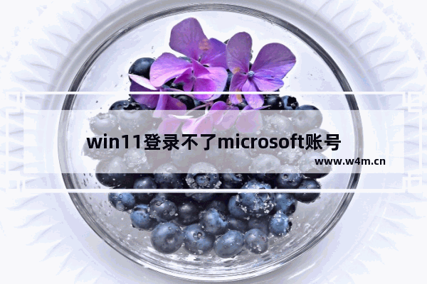 win11登录不了microsoft账号开不了机怎么办