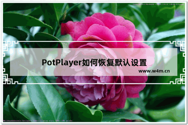 PotPlayer如何恢复默认设置