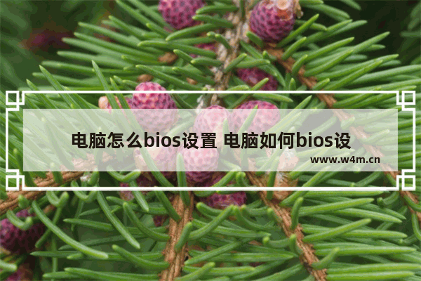 电脑怎么bios设置 电脑如何bios设置