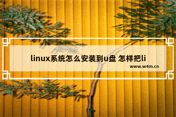 linux系统怎么安装到u盘 怎样把linux安装在u盘